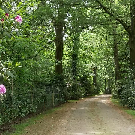 Дом отдыха Bungalowpark Vogelenzang Lage Mierde