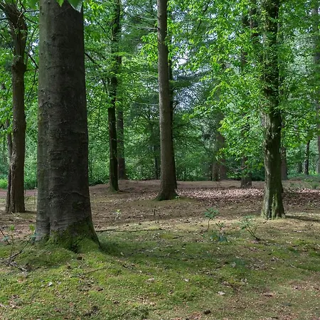 Дом отдыха Bungalowpark Vogelenzang Lage Mierde