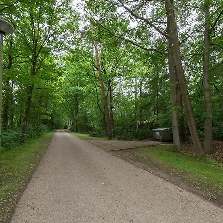 Bungalowpark Vogelenzang