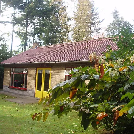 Bungalowpark Vogelenzang Lage Mierde