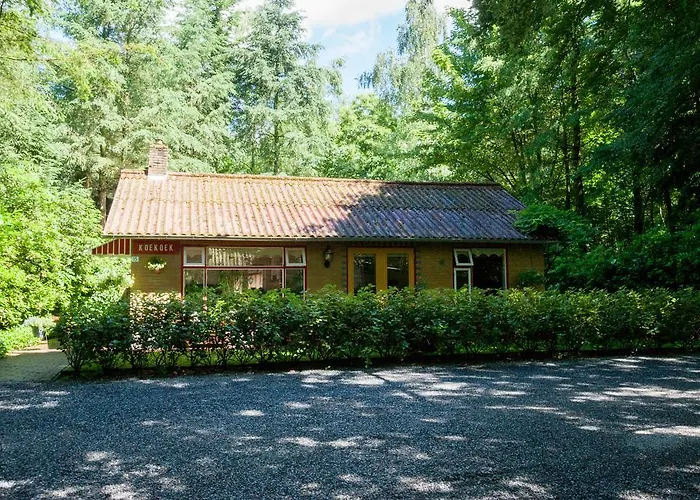 Bungalowpark Vogelenzang Lage Mierde