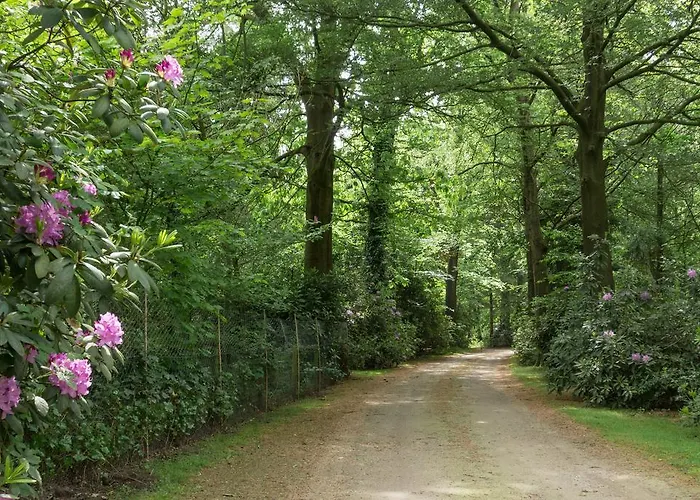 Holiday home Bungalowpark Vogelenzang Lage Mierde