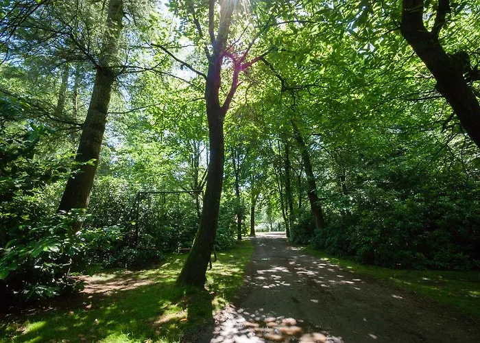 Holiday home Bungalowpark Vogelenzang