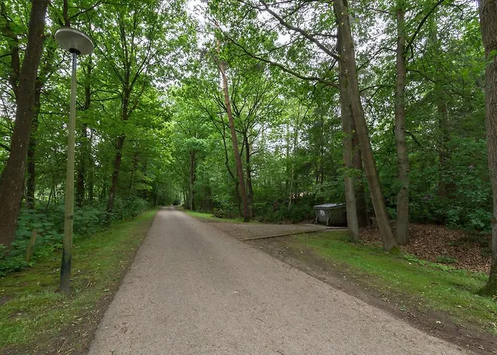 Bungalowpark Vogelenzang