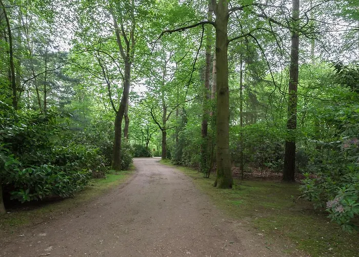 Bungalowpark Vogelenzang Holiday home *