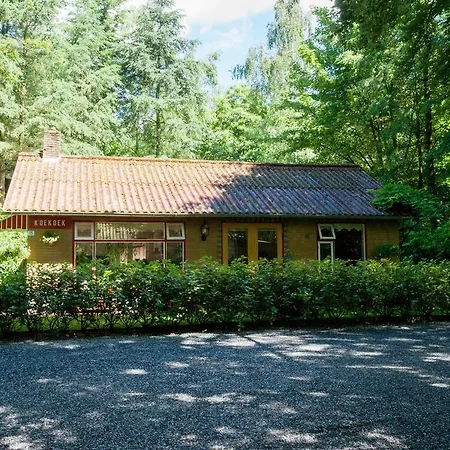 Bungalowpark Vogelenzang Lage Mierde