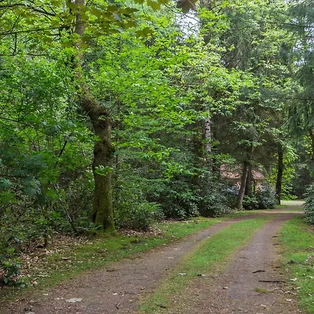 Bungalowpark Vogelenzang