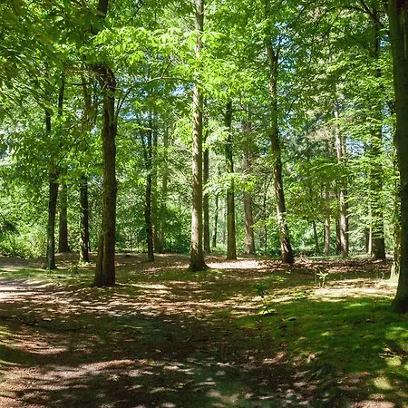 Bungalowpark Vogelenzang Lage Mierde
