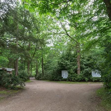 Bungalowpark Vogelenzang Lage Mierde
