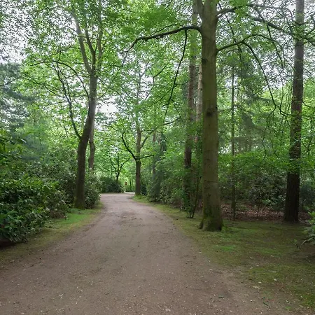 Bungalowpark Vogelenzang Hébergement de vacances *