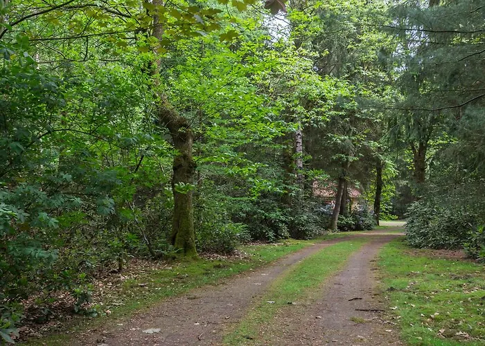 Bungalowpark Vogelenzang