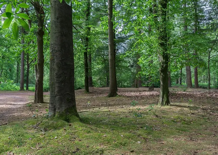 Nyaraló Bungalowpark Vogelenzang Lage Mierde