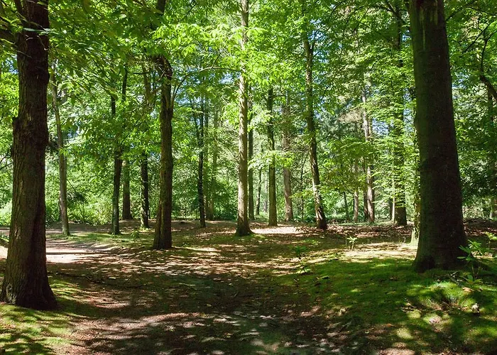 Bungalowpark Vogelenzang Lage Mierde