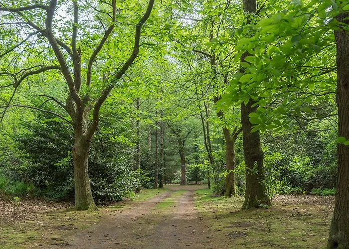 Nyaraló Bungalowpark Vogelenzang Lage Mierde