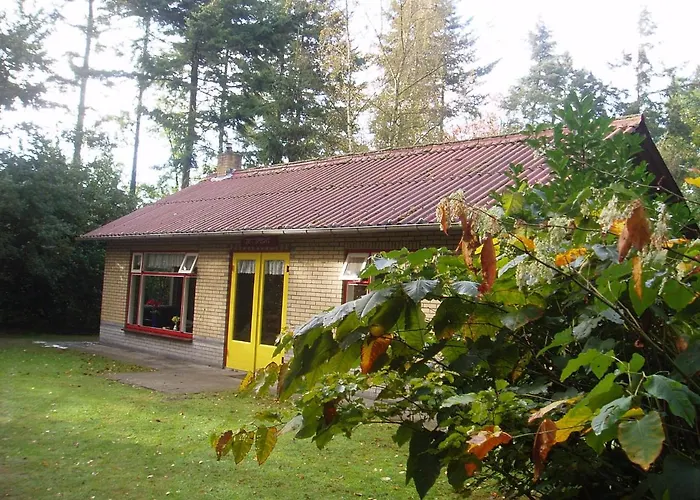 Bungalowpark Vogelenzang Lage Mierde